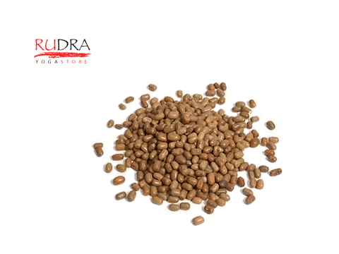 Moth pupiņas (Moth Beans), 500g