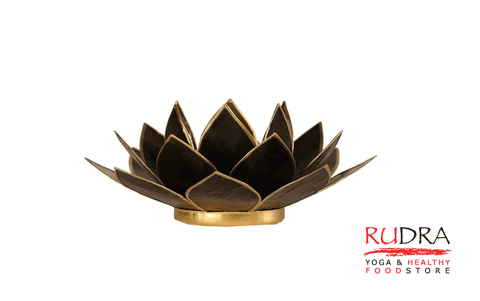 Svečturs Lotusa zieds, zelta ramītis