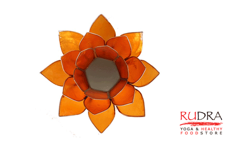 Svečturs Lotusa zieds, sudraba rāmītis