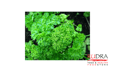 Pētersīlis (Calendula), 5ml)