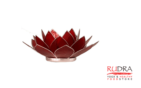 Svečturs Lotusa zieds, sudraba rāmītis