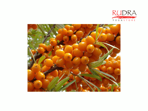 Smiltsērkšķu eļļa (Duo Ag), 30ml