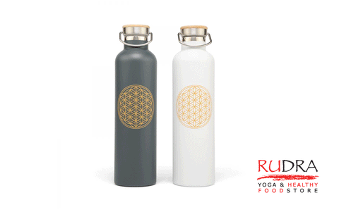 Trauks / termoss ūdens līdzņemšanai, 1L