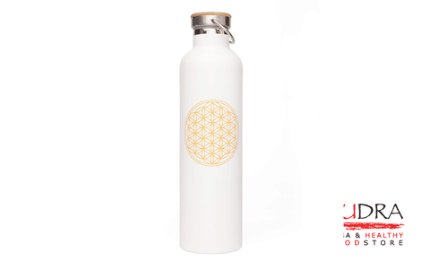 Trauks / termoss ūdens līdzņemšanai, 1L