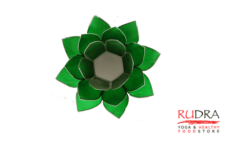 Svečturs Lotusa zieds, sudraba rāmītis